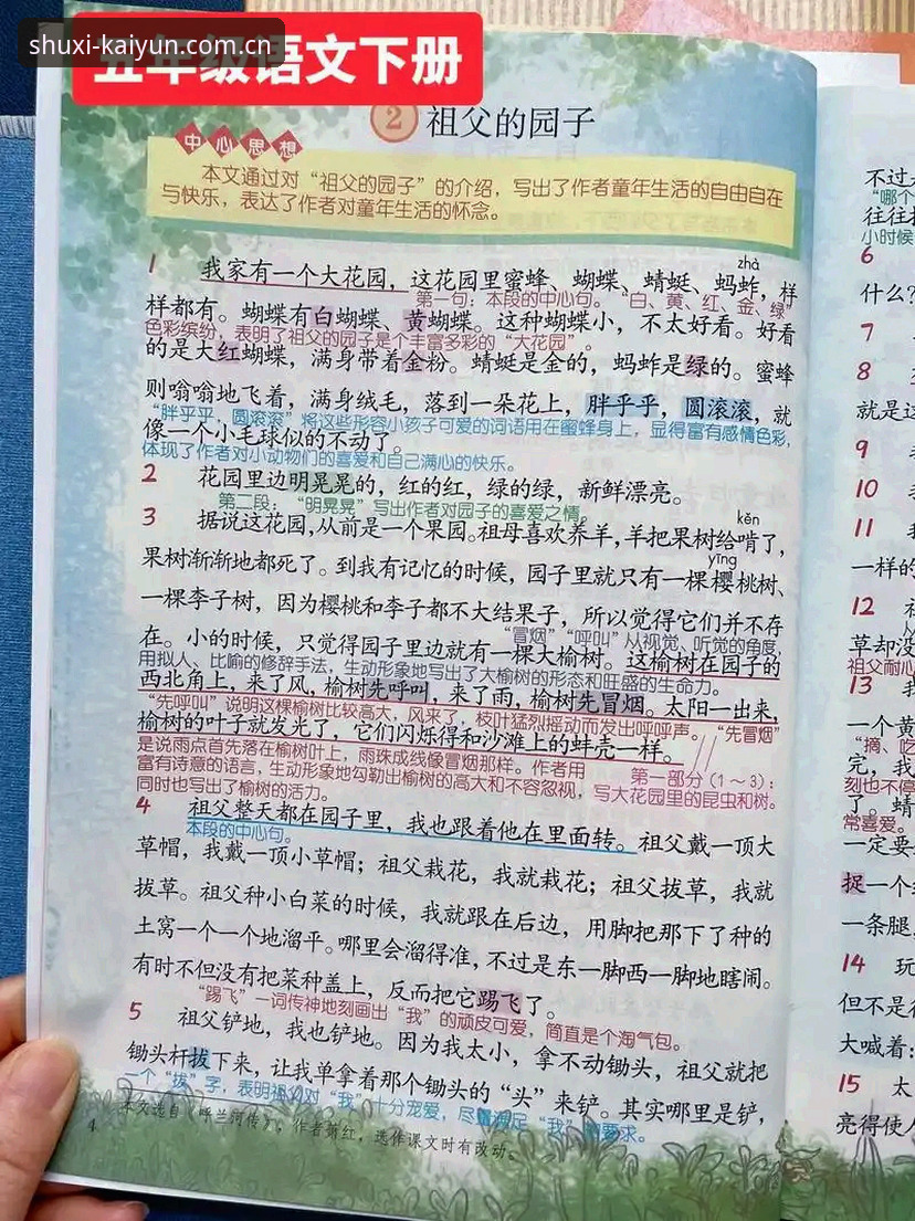 熟悉的那一页登录入口哪个好？从2020到2025，一个细节控的观察笔记